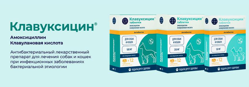 Клавуксицин от 5 шт. — скидка 10%
