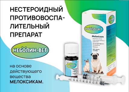 Неболин