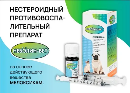 Неболин