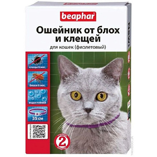 Ош Беафар д/кошек фиолетовый 35см