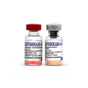 Карникан-4